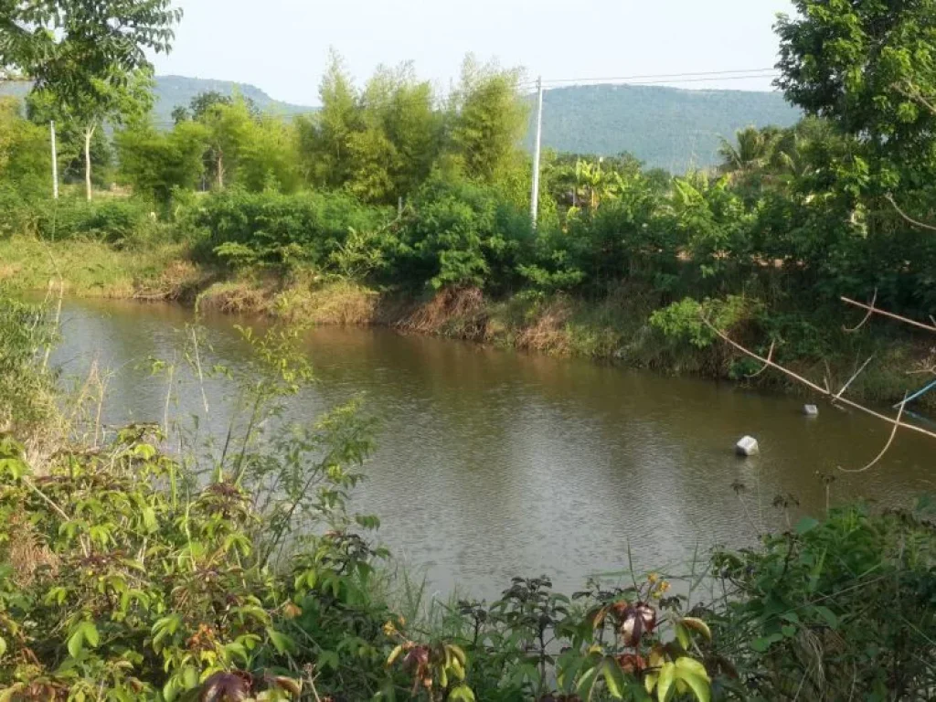 ขายที่ดิน ตบ้านเม็ง หนองเรือ ขอนแก่น