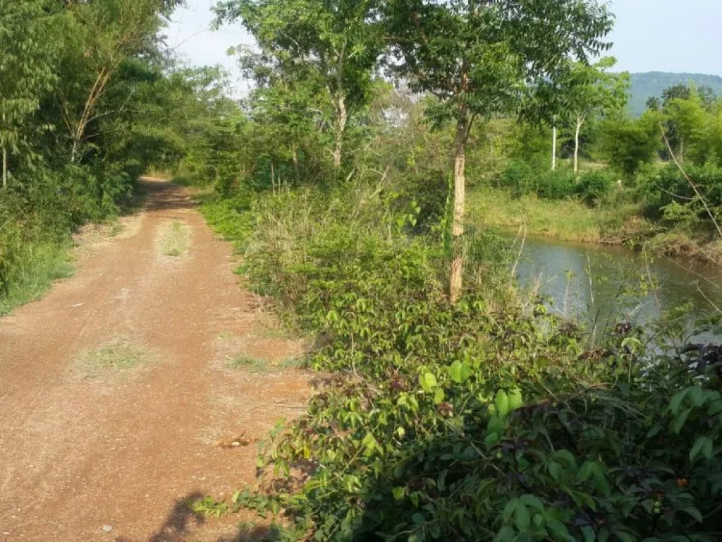 ขายที่ดิน ตบ้านเม็ง หนองเรือ ขอนแก่น