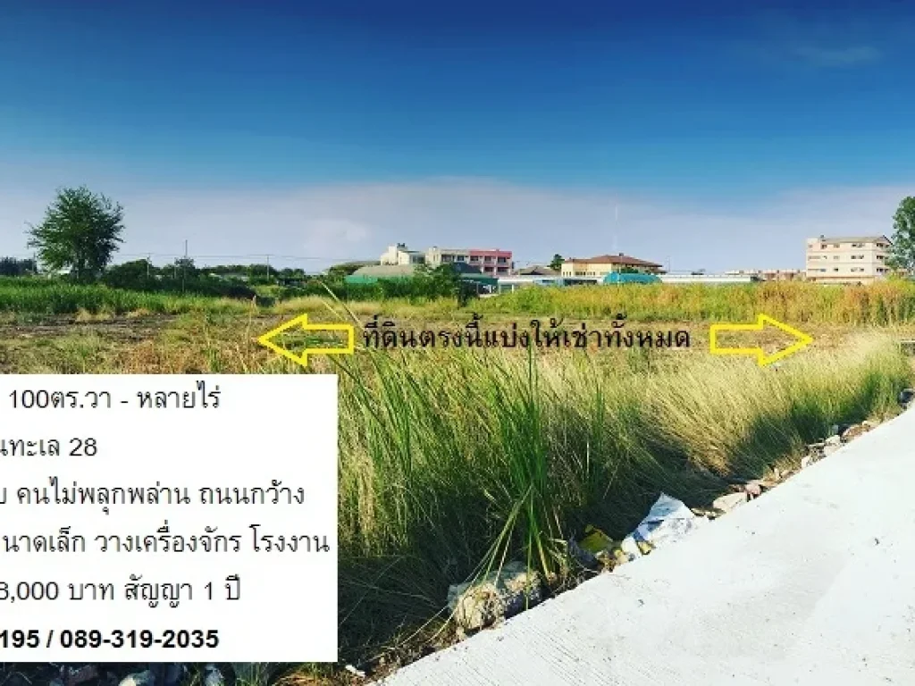 ที่ดินเปล่าให้เช่า เทียนทะเล 28 ทำเลดี ใกล้เซเว่น มีหลายไร่ เหมาะทำโรงงาน ไฟฟ้า3เฟส