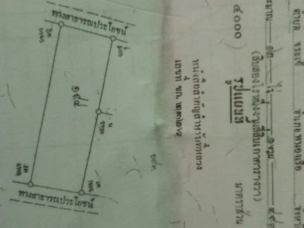 ขายที่ดิน 12ไร่ บ้านอุดมศิลป์ นิคมผัง2 ตำบลโคกสูง ออุบลรัตน์ ขอนแก่น