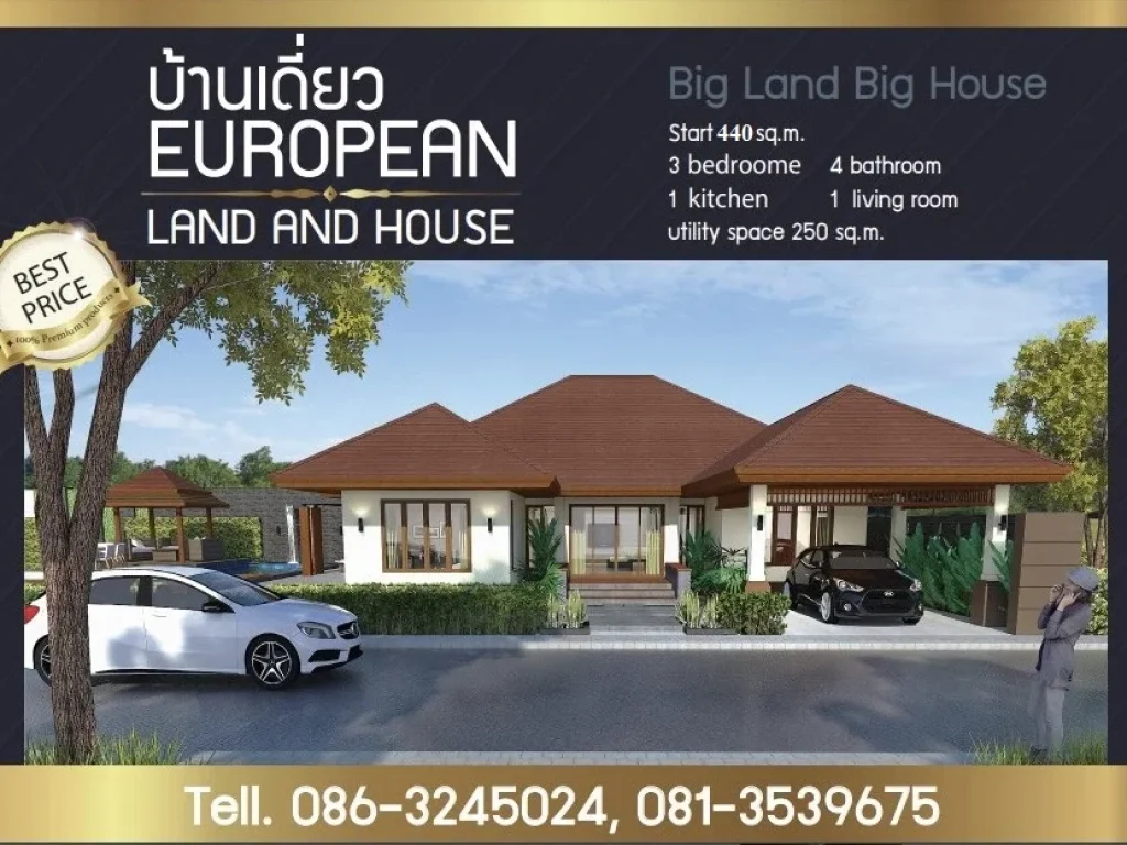 ขายโครงการหมู่บ้านเดี่ยวสุดหรู Big Land Big House สิ่งแวดล้อมดี น่าอยู่ บรรยากาศเงียบ เหมาะกับการพักผ่อน มีทั้งหมด 8 หลัง เนื้อที่ 115 ตรว - 29248 ต