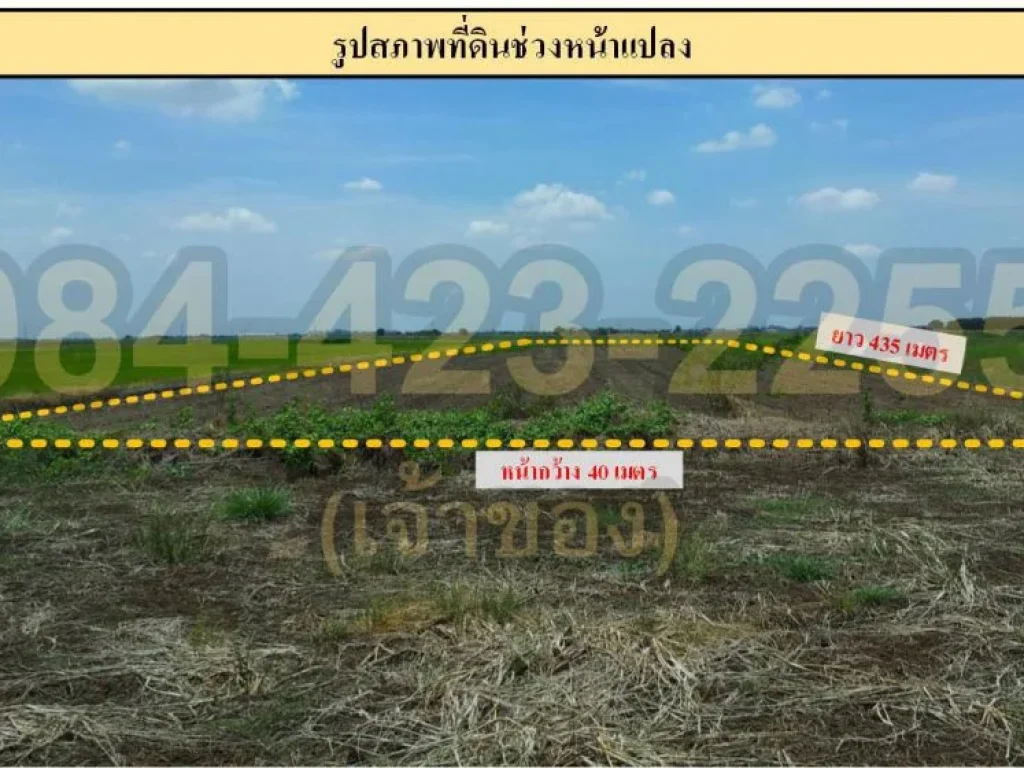 ด่วนขายที่นา 11 ไร่ 1 งาน เจ้าของขายเอง