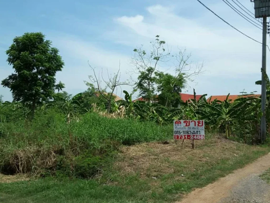 ขายที่ดิน 58 ตรว บางกล้วย ไทรน้อย นนทบุรี ใกล้วัดลาดปลาดุก ถมแล้ว