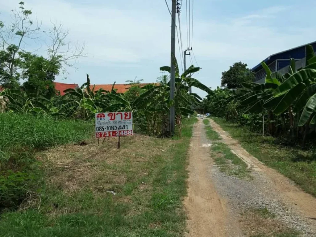 ขายที่ดิน 58 ตรว บางกล้วย ไทรน้อย นนทบุรี ใกล้วัดลาดปลาดุก ถมแล้ว