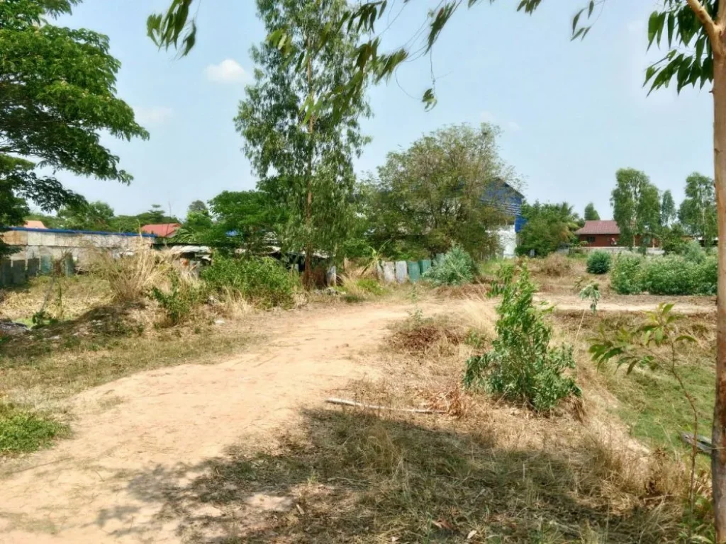 ที่ดิน บ้านหนองหลุบ 300 เมตร จากถนนขอนแก่น-ชุมแพมะลิวัลย์