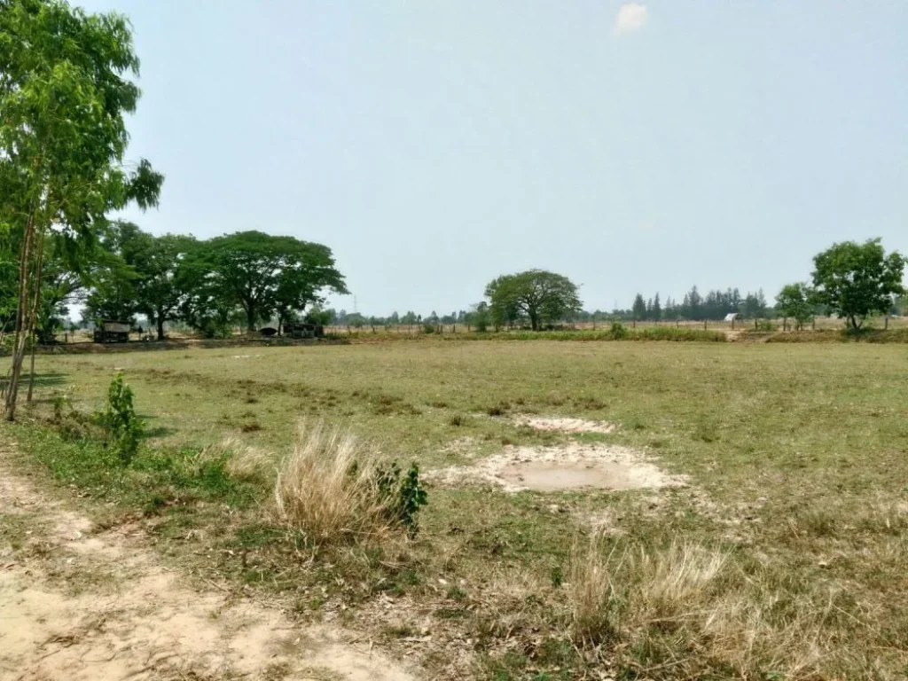 ที่ดิน บ้านหนองหลุบ 300 เมตร จากถนนขอนแก่น-ชุมแพมะลิวัลย์