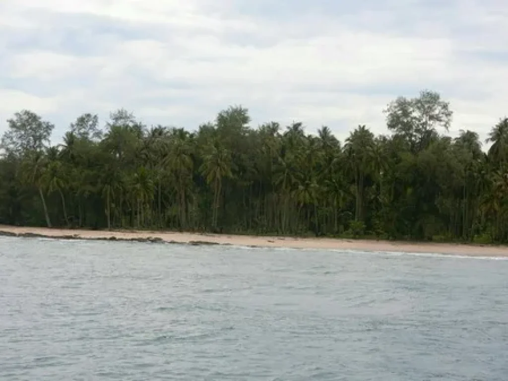 ขายที่ดินชายหาดเกาะกูด จ ตราด เป็นที่ดินที่มีหน้ากว้างติดทะเลผืนสุดท้ายของเกาะกูดม อยู่ทางทิศตะวันตกของเกาะช้าง