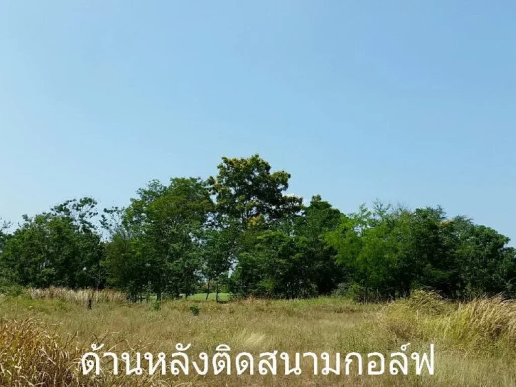 ขายที่ดินเปล่า 421 ตรว ในสนาม กฤษดาซิตี้ กอล์ฟฮิลล์ นครปฐม เหมาะสร้างบ้านพัก ถูกกว่าประเมินที่ดิน