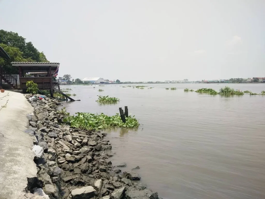 ขายบ้านเรือนไทยติดแม่น้ำเจ้าพระยานนทบุรี ไม้สัก2หลังบ้านปูน1หลังเนื้อที่168ตรวตรงข้ามวัดกู้ปากเกร็ด ขาย36ล้าน ทุกอย่างออกให้หมด ติดต่อ0956549478