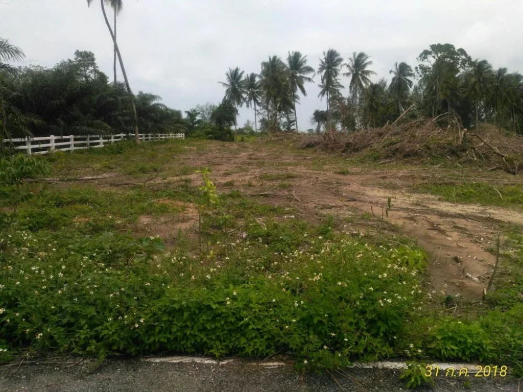 Land for sale at Takuapa Phang Nga ที่ดิน 17 ไร่ ราคา 5015ล้านบาท ใกล้ชายทะเล ตำบลบางม่วง อำเภอตะกั่วป่า จังหวัดพังงา