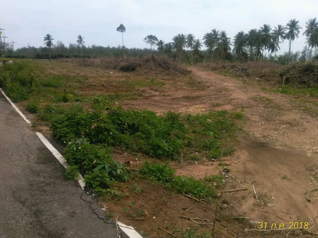 Land for sale at Takuapa Phang Nga ที่ดิน 17 ไร่ ราคา 5015ล้านบาท ใกล้ชายทะเล ตำบลบางม่วง อำเภอตะกั่วป่า จังหวัดพังงา