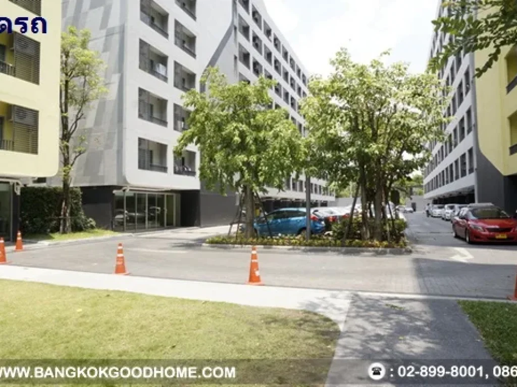 ขายด่วนElio Condo สุขุมวิท64 30 45ตร ม ใกล้BTS ปุณณวิถี เฟอร์ฯครบ พร้อมอยู่สุดคุ้ม