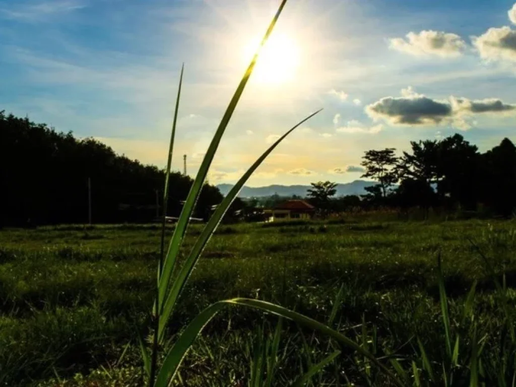 ที่ดินวิวทะเล วิวภูเขา เหมาะทำรีสอร์ท บ้านพักตากอากาศ เกาะสิเหร่ เมืองภูเก็ต