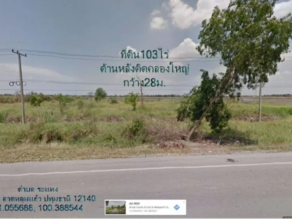 ที่ดิน103ไร่3งาน36ตรว หน้ากว้าง164มติดถนนเทศบาล5คลองระแหง ตระแหง อลาดหลุมแก้ว จปทุมธานี