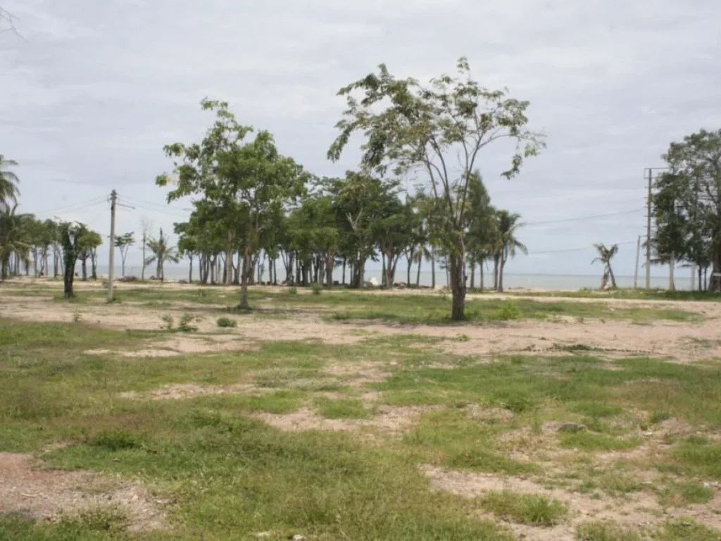 ที่ดินติดทะเลปึกเตียน4ไร่ติดหาดเพชรรีสอร์ท แบ่งขายได้