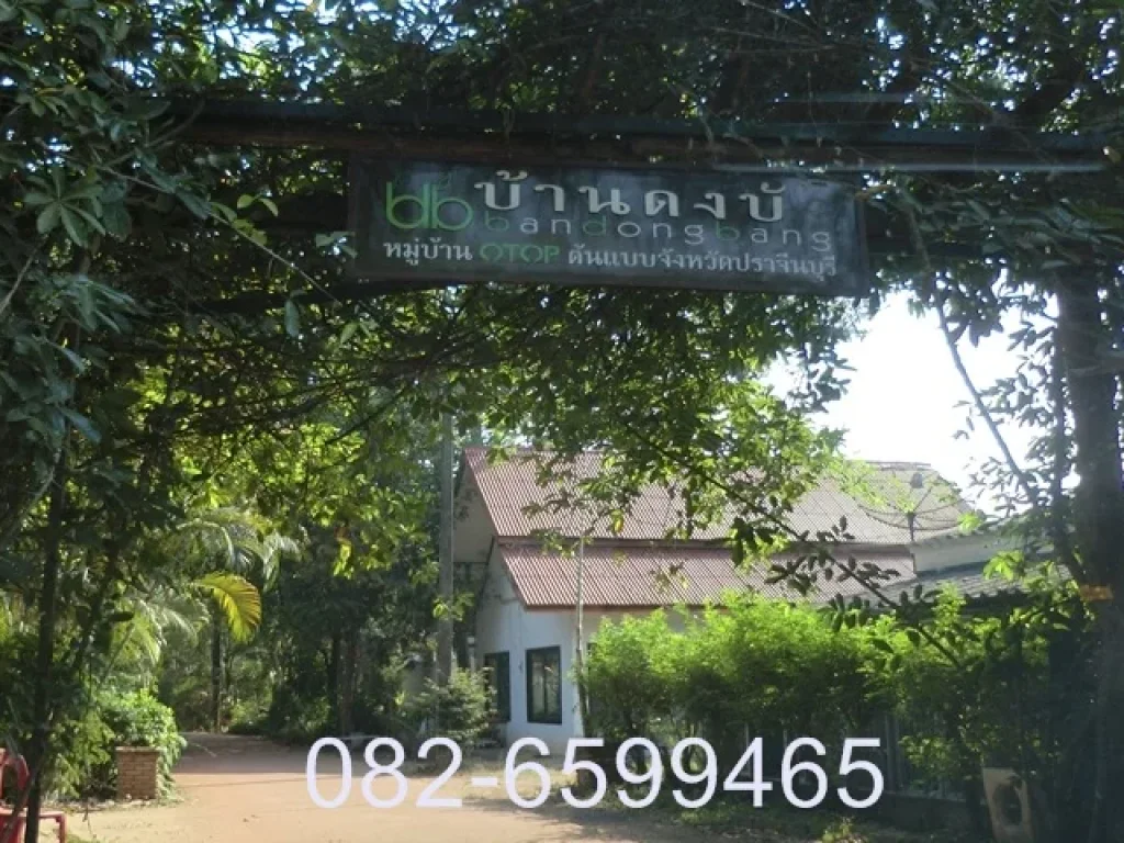 ขายที่ดิน 14-3-64ไร่ อยู่ถนนดงบังซอย6 หมู่บ้านดงบัง หมู่ที่6 ตำบลดงขี้เหล็ก อำเภอเมืองปราจีนบุรี จังหวัดปราจีนบุรี