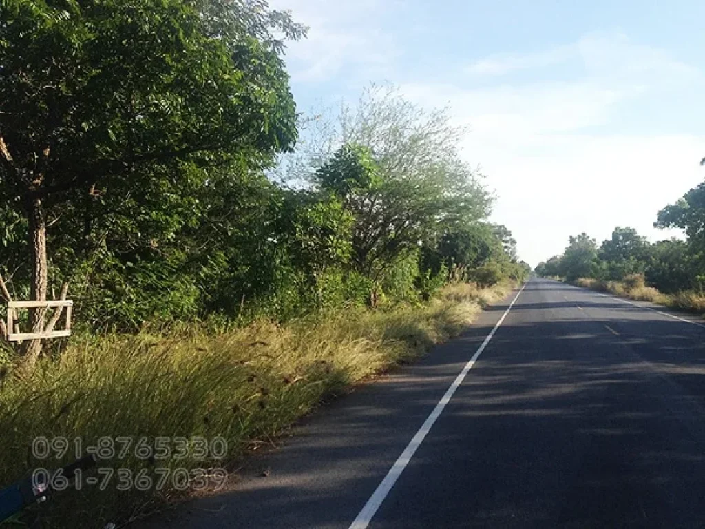 ขายที่ดินแปลงใหญ่ 300ไร่ 500ไร่ สุพรรณบุรี ติดถนนลาดยาง ใกล้ชุมชน เหมาะทำโกดัง ทำเกษตร