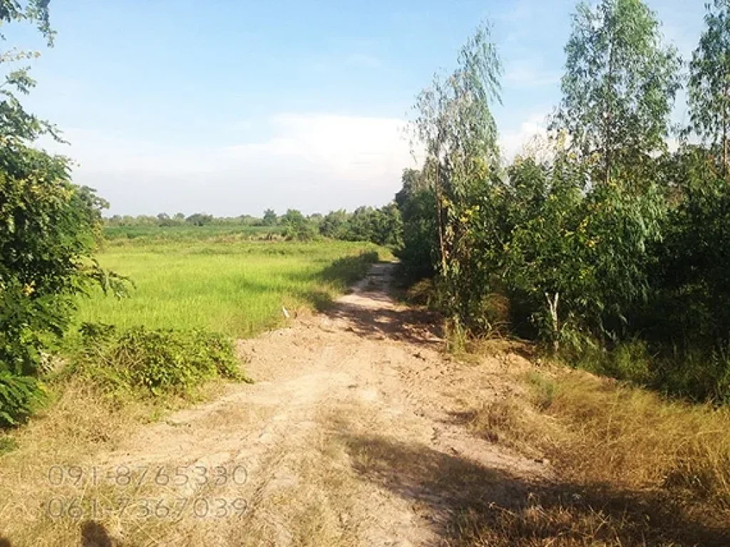 ขายที่ดินแปลงใหญ่ 300ไร่ 500ไร่ สุพรรณบุรี ติดถนนลาดยาง ใกล้ชุมชน เหมาะทำโกดัง ทำเกษตร