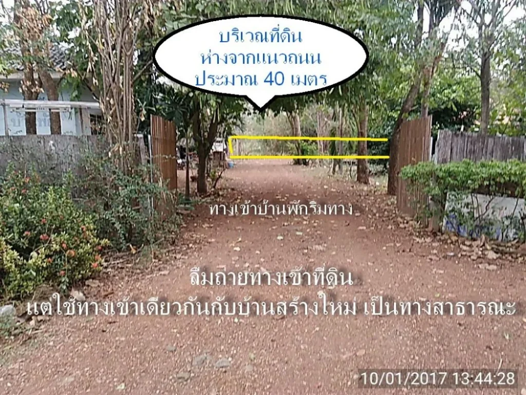 ที่ดิน ตท่าโรง อวิเชียรบุรี จเพชรบูรณ์