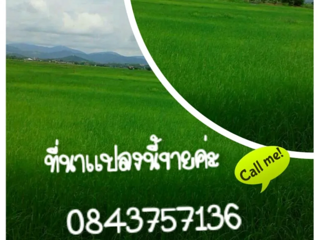 ขายที่นา 4 ไร่ 65 ตรว ตแม่ต๋ำ อพญาเม็งราย จเชียงราย