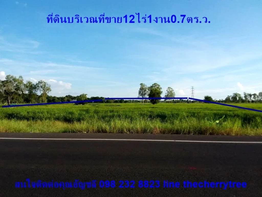 ขายที่ดินกาฬสินธุ์ 12ไร่อเมือง ติดถนนเอเชีย ใกล้สี่แยกโครงการก่อสร้างถนนทางหลวงหมายเลข12 ใกล้ปั้มปตททางไปกมลาไสย