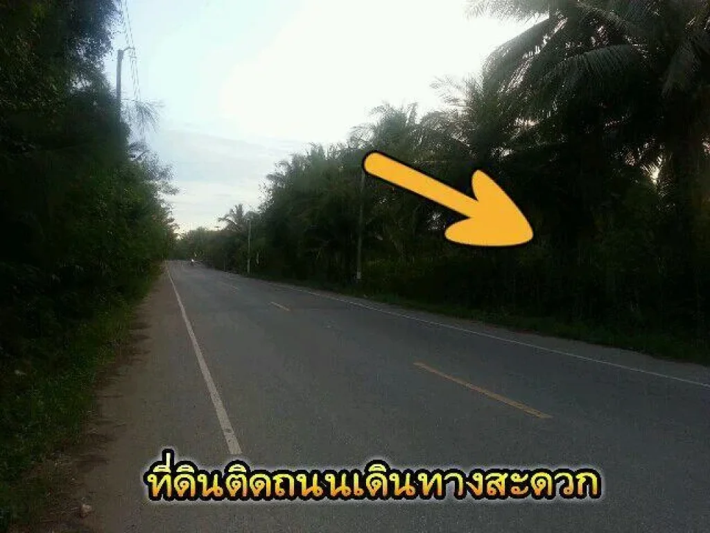 ที่ดินตลาดน้ำท่าค่า ออัมพวา ทำเลธุรกิจ ติดคลอง ติดถนน 3 ไร่ 2 งาน