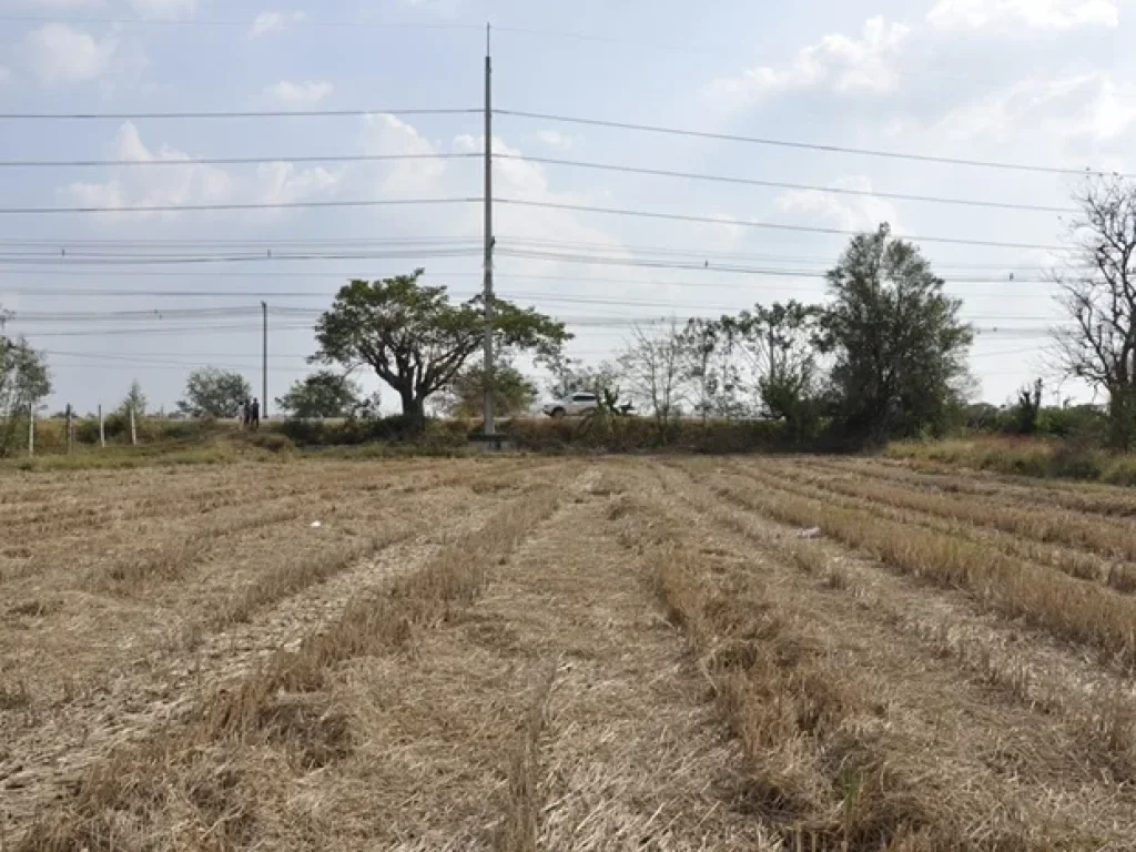 ขายที่ดิน 35 ไร่ เส้นนครหลวง-ภาชี จอยุธยา