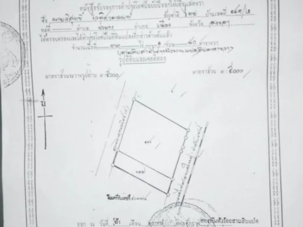 ขายที่ดิน 8 ไร่ ทำเลดี ติดถนน ใกล้การไฟฟ้า พังลา