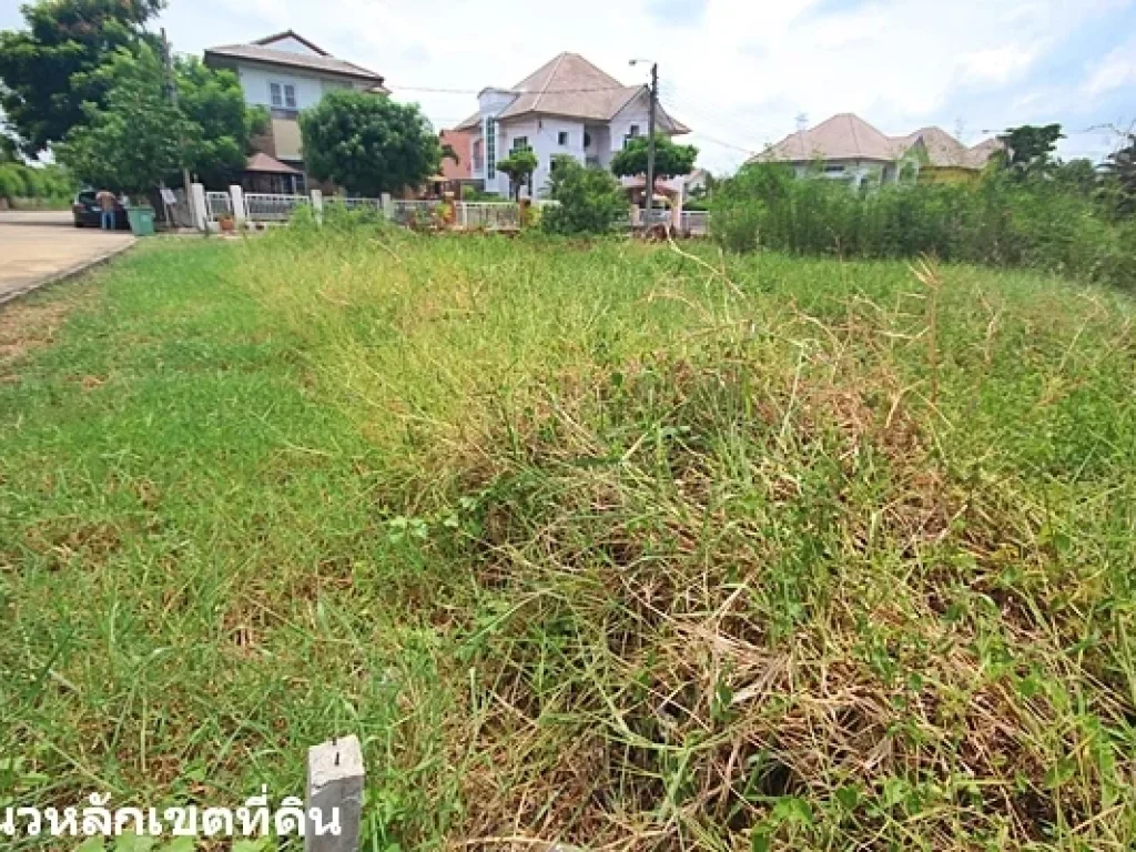 ประกาศขายที่ดิน หมู่บ้านปัญจทรัพย์ พาร์ค Panchasab Park ซอยบรมราชชนนี 72 เหมาะสร้างบ้าน แปลงมุม ริมถนนโครงการ 12 เมตร