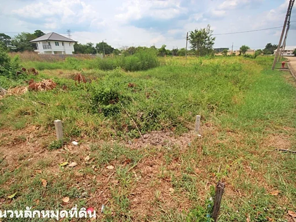 ประกาศขายที่ดิน หมู่บ้านปัญจทรัพย์ พาร์ค Panchasab Park ซอยบรมราชชนนี 72 เหมาะสร้างบ้าน แปลงมุม ริมถนนโครงการ 12 เมตร