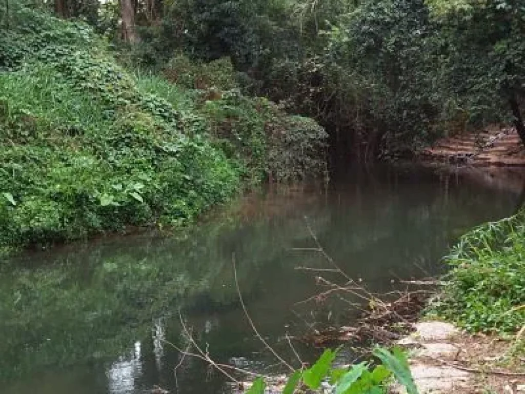 ขายที่ดิน พร้อมสวนขนาดใหญ่ ใจกลางเมือง ท่ามกลาง วิวลำธารจากแม่น้ำลำตะคอง ธรรมชาติสุดๆ