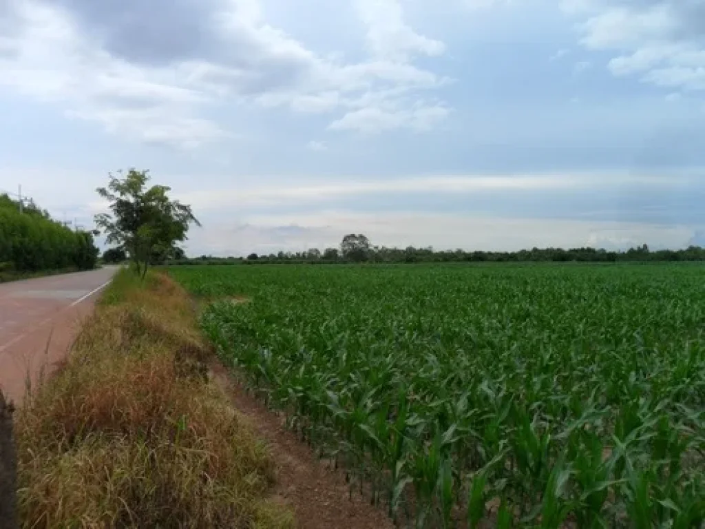 ขายที่ดินขนาด 1400 ไร่เศษใกล้โรจนะติดถนนลาดยางติดไฟ3เฟสที่โฉนดพร้อมโอนค่ะ