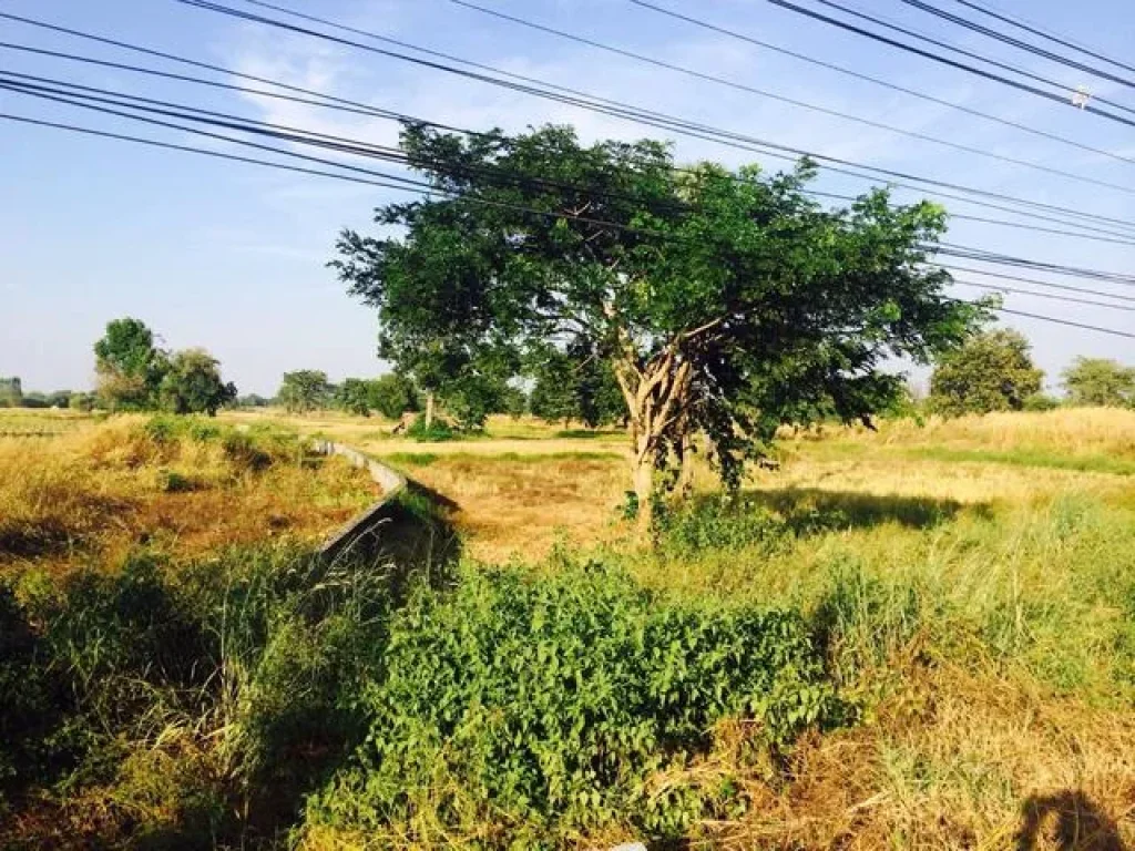 ขายที่ดินสวยติดถนนมะลิวัลย์ ขอนแก่น