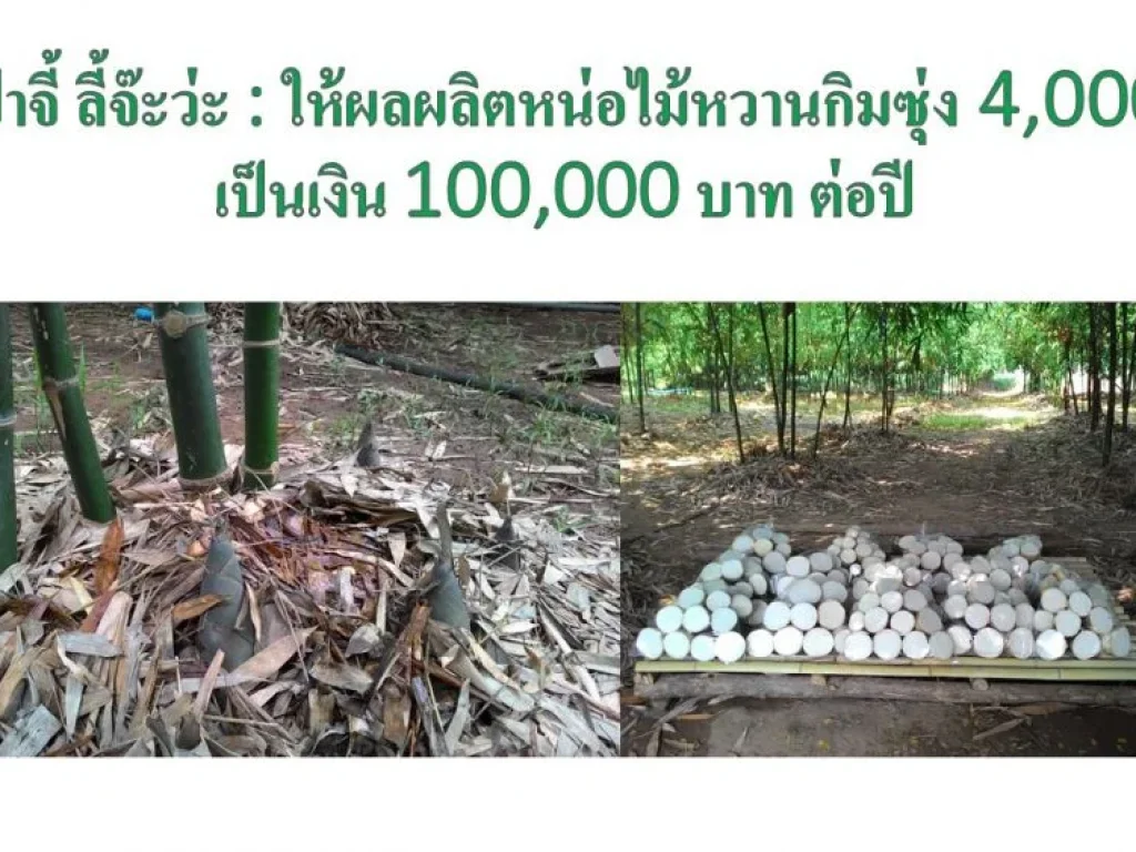 ขายสวนเกษตรพอเพียง ให้ผลผลิต 500000 บาทต่อปี