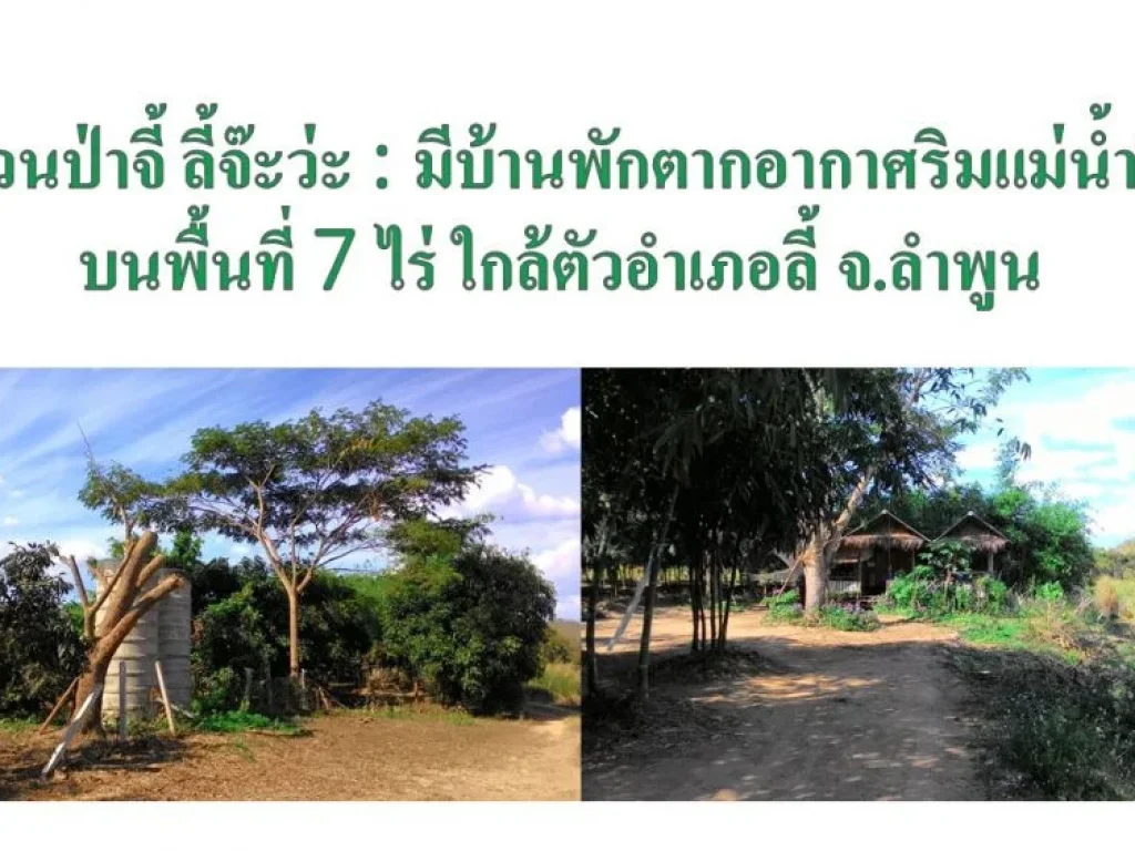 ขายสวนเกษตรพอเพียง ให้ผลผลิต 500000 บาทต่อปี