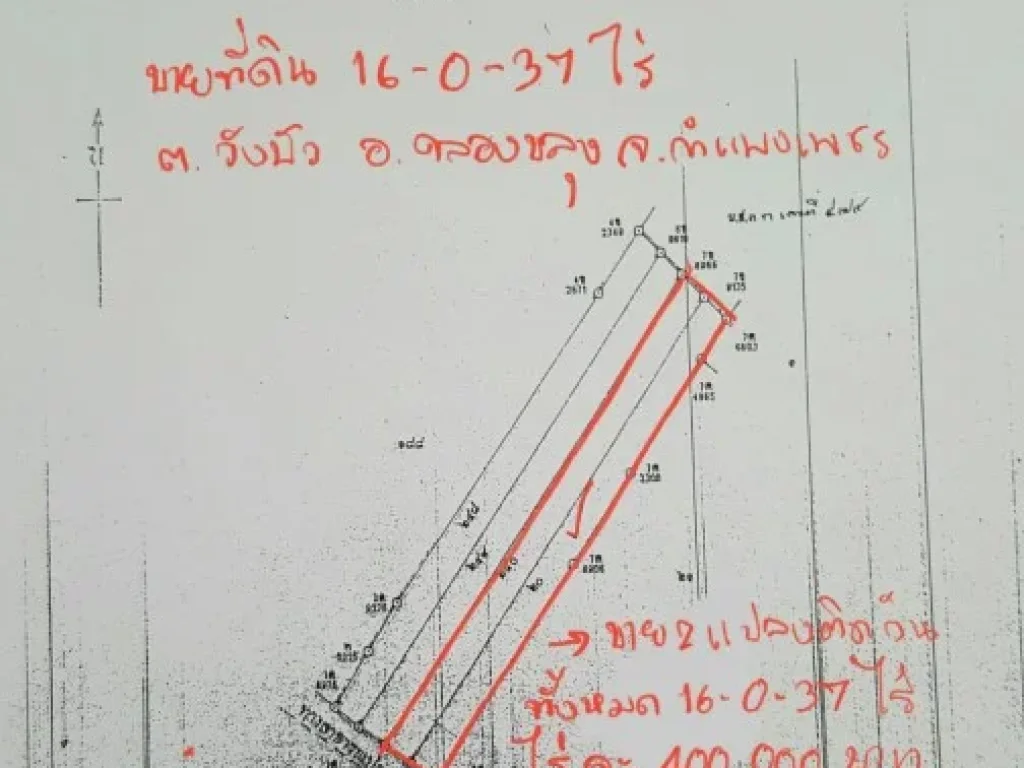 ขายที่ดิน 16-0-37 ไร่ ตวังบัว อคลองขลุง จกำแพงเพชร ติดแม่น้ำปิง