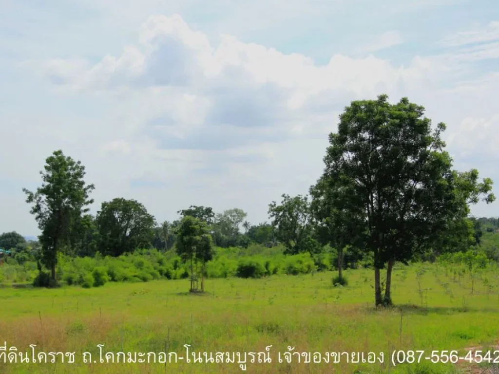 ที่ดิน 21 ไร่ 84 ตรว ถโคกมะกอก-โนนสมบูรณ์ ตบุ่งขี้เหล็ก อสูงเนิน จนครราชสีมา