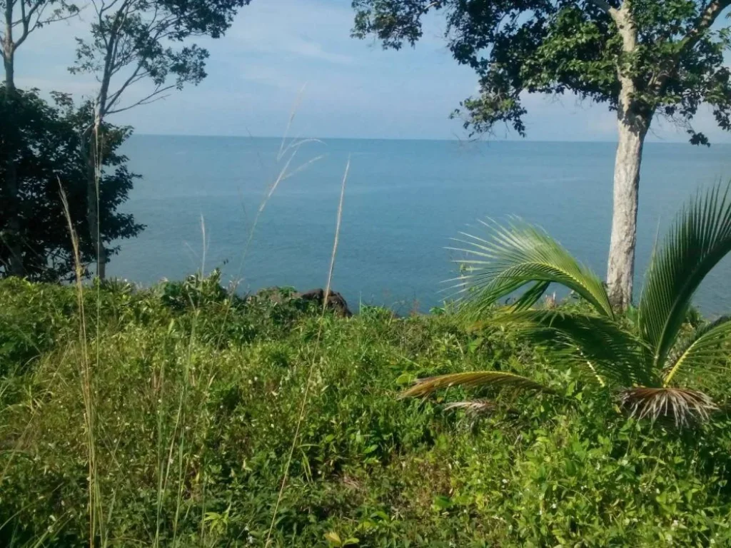 ขายที่ดินสวยมาก ติดถนนใหญ่สุขุมวิท4เลน สุดชายแดนตะวันออก