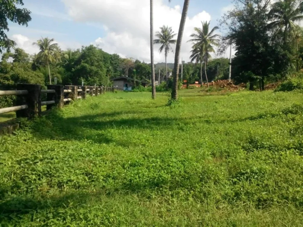 ขายที่ดินสวยและถูก ติดชายหาด ติดถนนใหญ่สายหลักสุขุมวิท