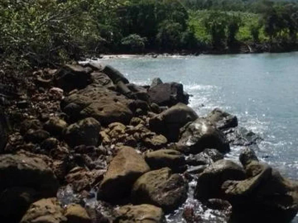 ขายที่ดินสวยและถูก ติดชายหาด ติดถนนใหญ่สายหลักสุขุมวิท