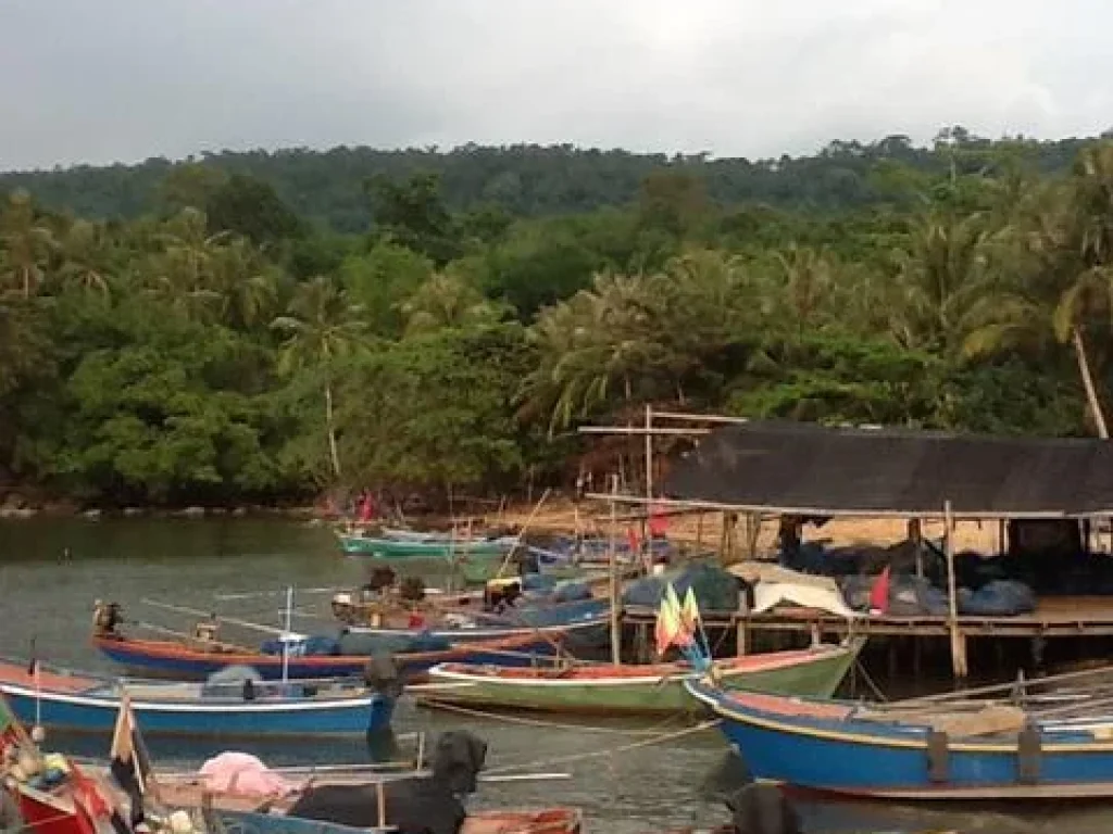 ขายที่ดินสวยและถูก ติดชายหาด ติดถนนใหญ่สายหลักสุขุมวิท