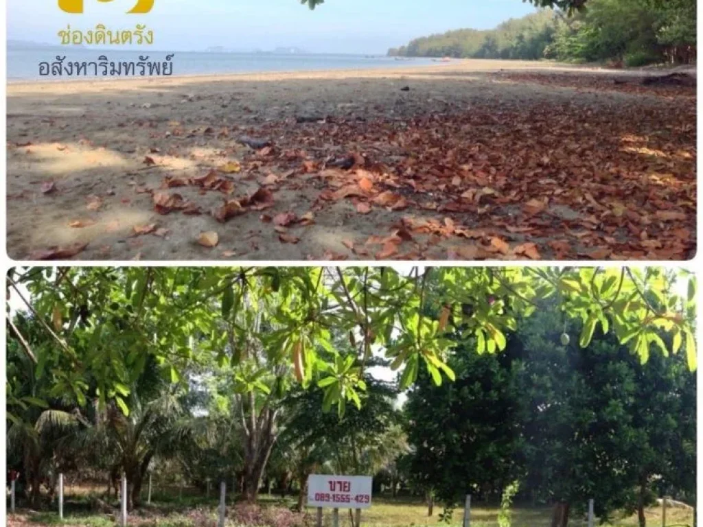 ขายที่ดินใกล้ทะเลหาดสำราญ จังหวัดตรัง แบ่งขายเป็นห้อง