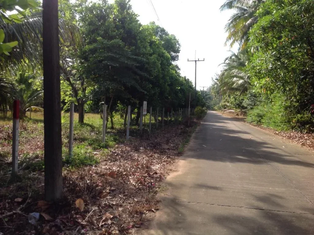 ขายที่ดินใกล้ทะเลหาดสำราญ จังหวัดตรัง แบ่งขายเป็นห้อง