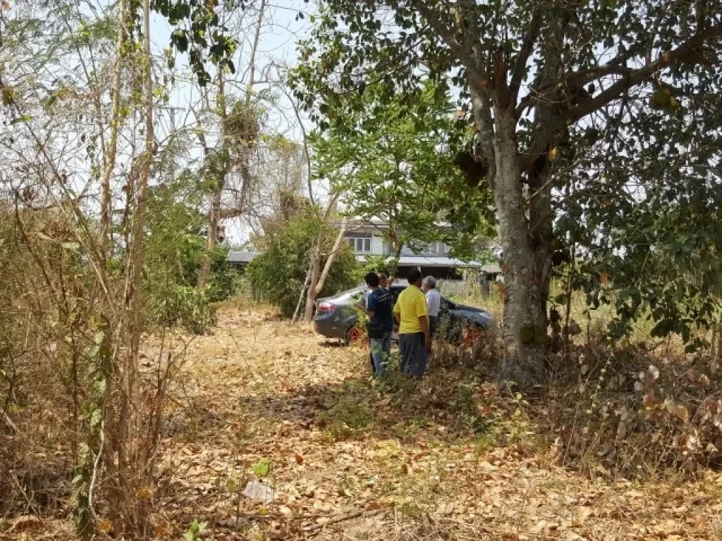 ขายที่ดิน จกำแพงเพชร ติด ถพหลโยธิน สายเอเซีย ตาก-กำแพงเพชร