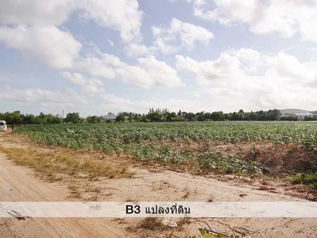 ที่ดินถนนเสริมสุวรรณ ติดนิคมฯ RIL มาบตาพุด