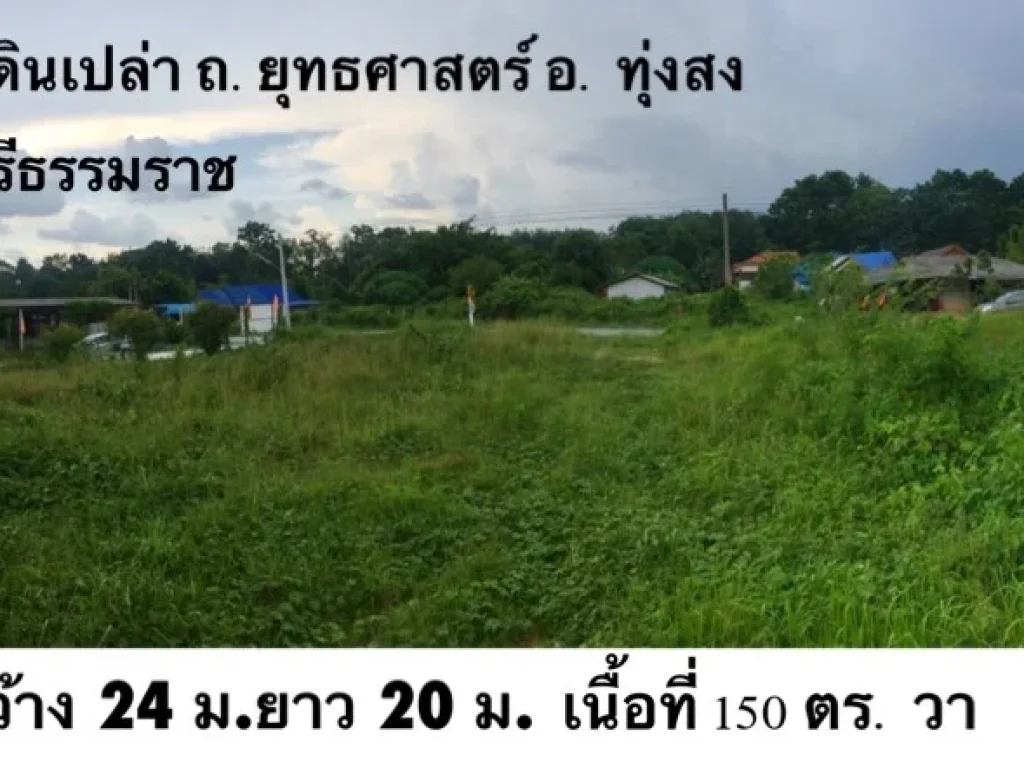 ขายที่ดิน 150 ตรว อทุ่งสง จนครศรีธรรมราช