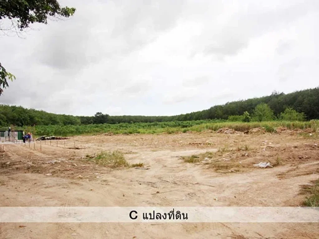 ที่ดินตรงข้ามทางเข้านิคมฯเหมราชระยอง บ้านค่าย 27 ไร่