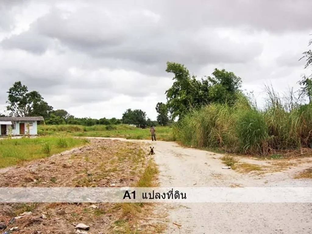 ที่ดินมาบตาพุด ใกล้รพมงกุฏ ติดถนนมาบยา 67 ไร่