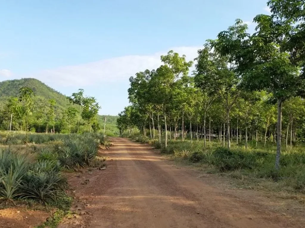 ที่ดินติดถนนใหญ่ 130 ไร่แบ่งขาย