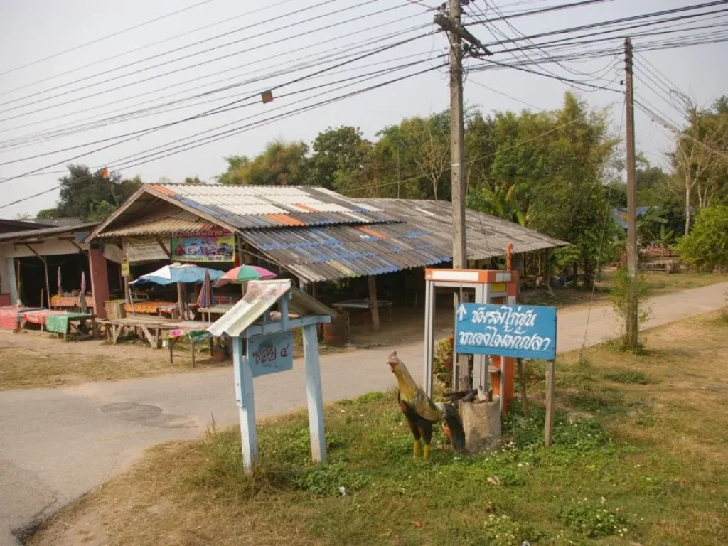 ขายที่ดินราคาถูก จังหวัดเชียงราย ตำบลเมืองชุม อำเภอเวียงชัยเจ้าของขายเองราคาต่อรองได้ ติดทางหลวง1173